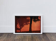 Load image into Gallery viewer, Tree at Dusk
